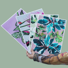 Cargar imagen en el visor de la galería, Dieffenbachia
