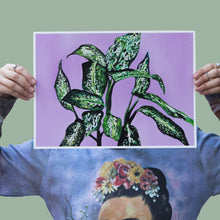Cargar imagen en el visor de la galería, Dieffenbachia
